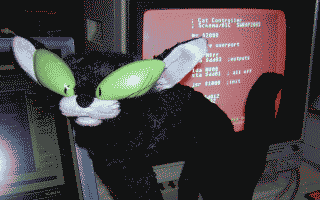 Dancing Fraidy Cat